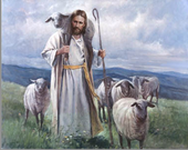 Shepherding The Flock: Called to Love One Another
